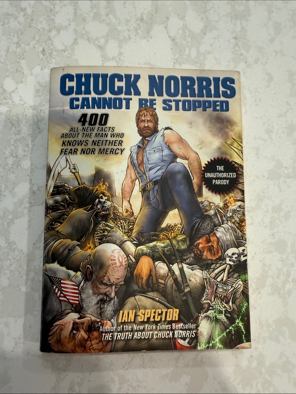 Blue Graphic Cover Paperback - Chuck Norris Cannot Be Stopped